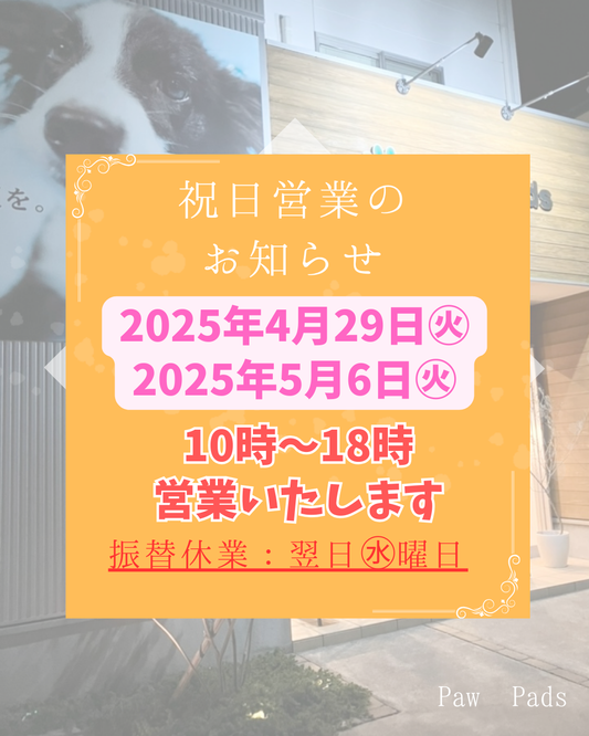 祝日営業について