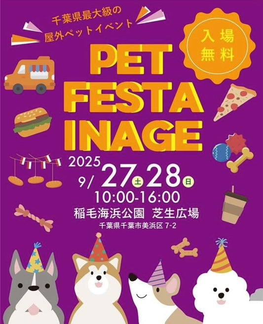 今週末の出店情報