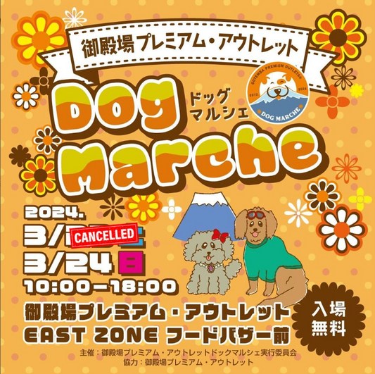 本日18時まで！