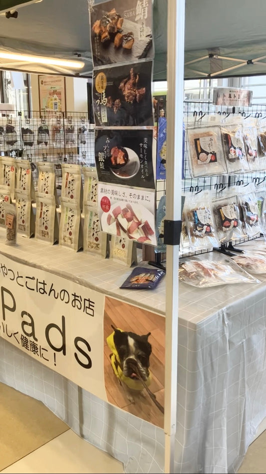 本日は…