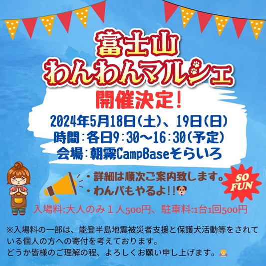 本日！