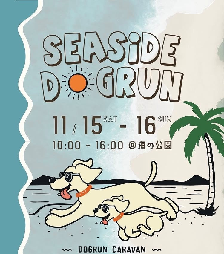 2025年11月の出店情報