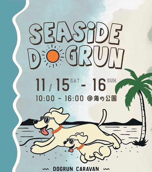 2025年11月の出店情報