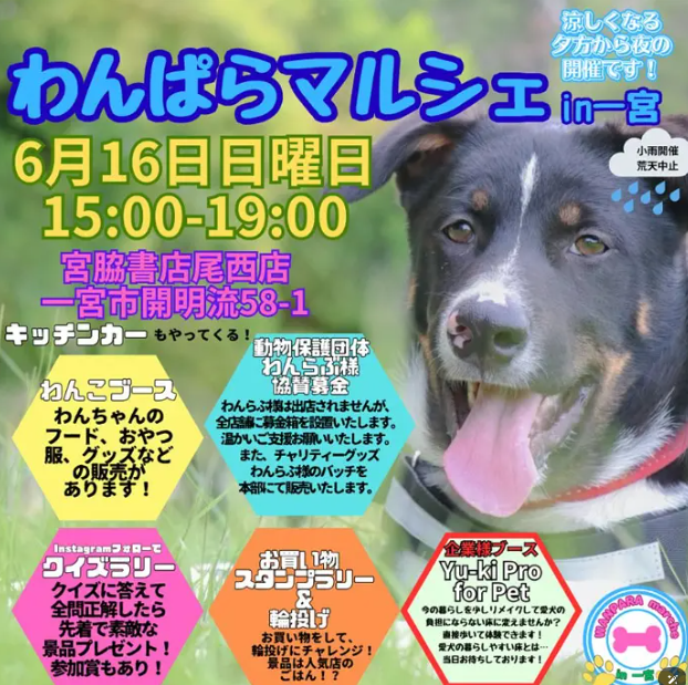 今週末のイベント出店情報②