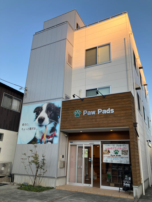 Paw Pads本日プレオープン！