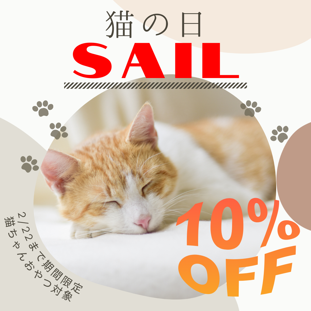 期間限定☆猫の日SAIL