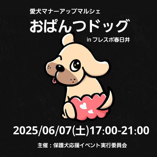 今週の出店情報