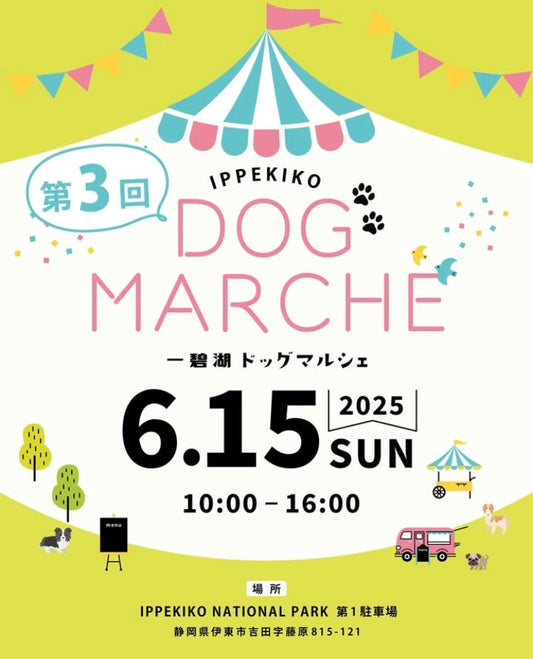 今週の出店情報！