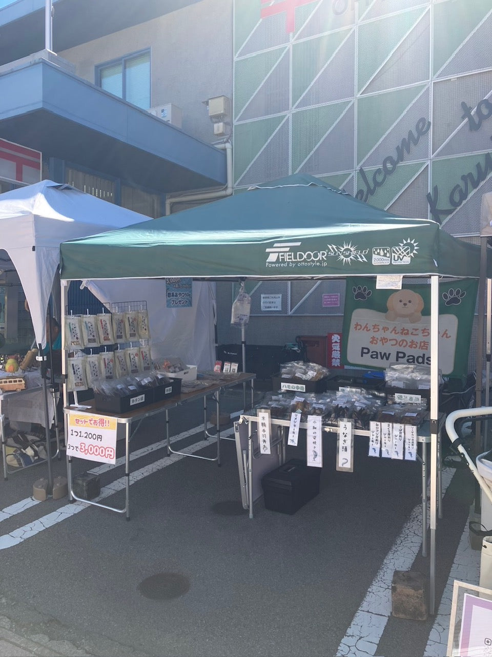 今週の出店情報