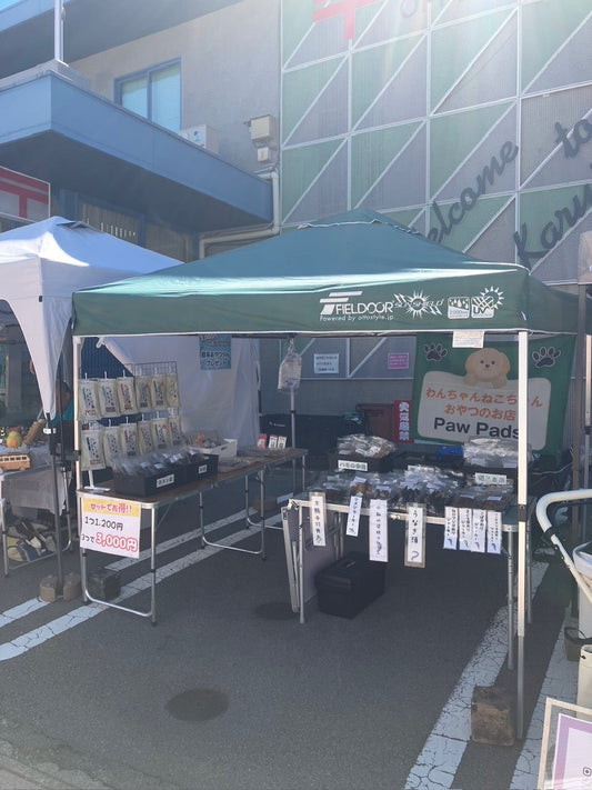 今週の出店情報