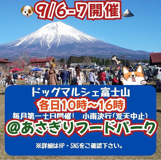 9月の最新出店情報