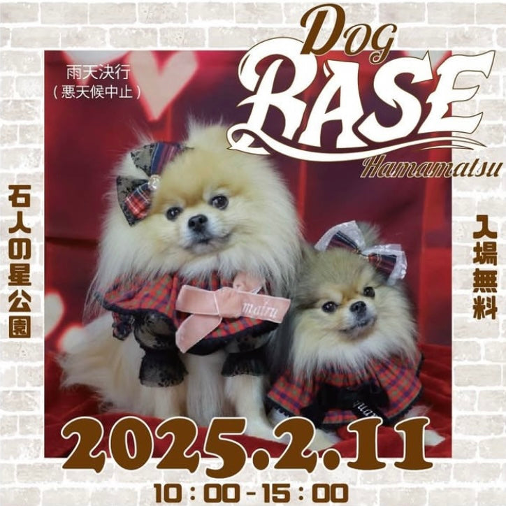 祝日営業とイベント出店