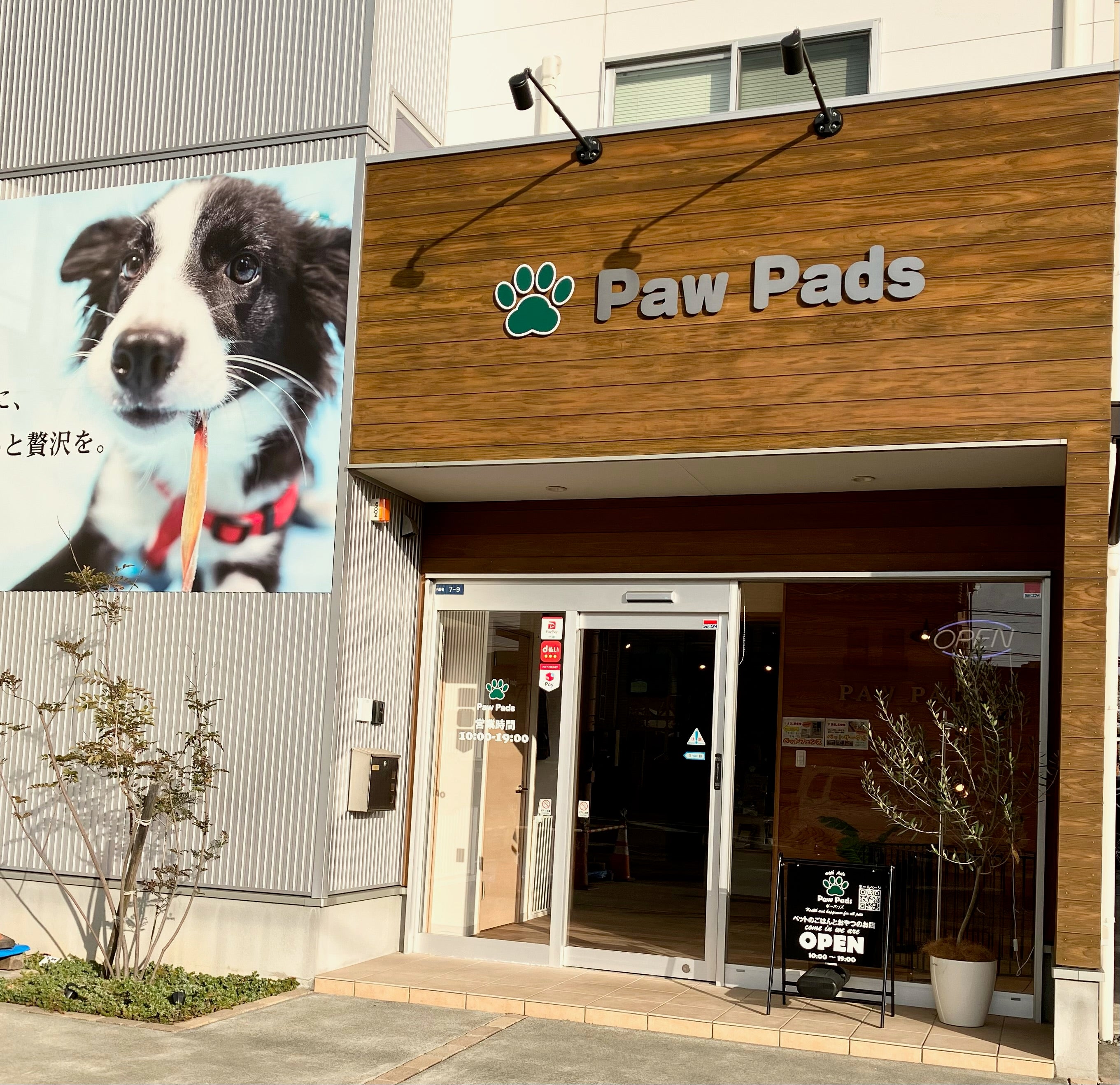 2/17イベント情報 Paw Pads
