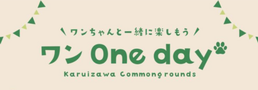 本日の出店情報