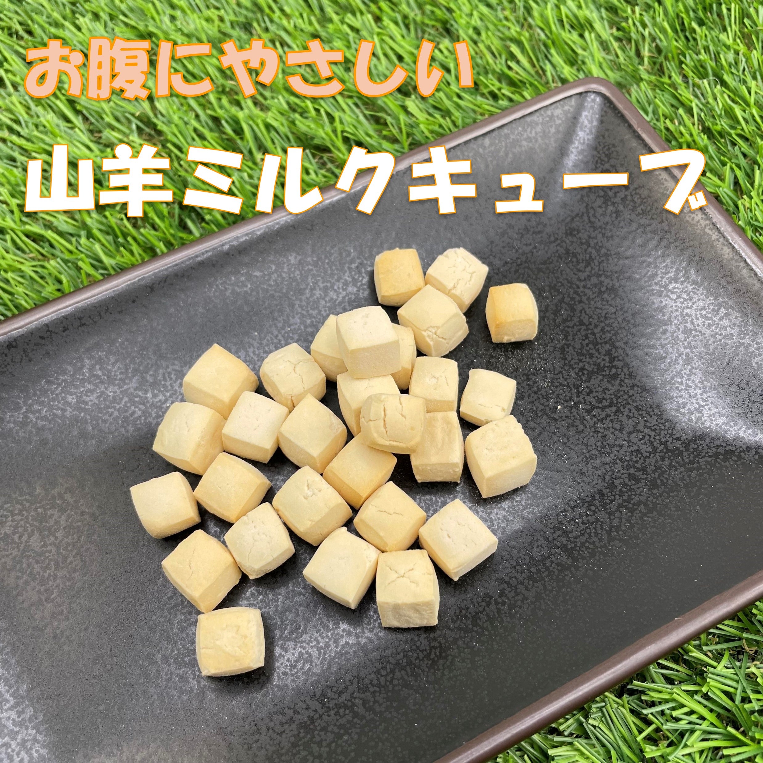 お腹にやさしい、山羊ミルクキューブ