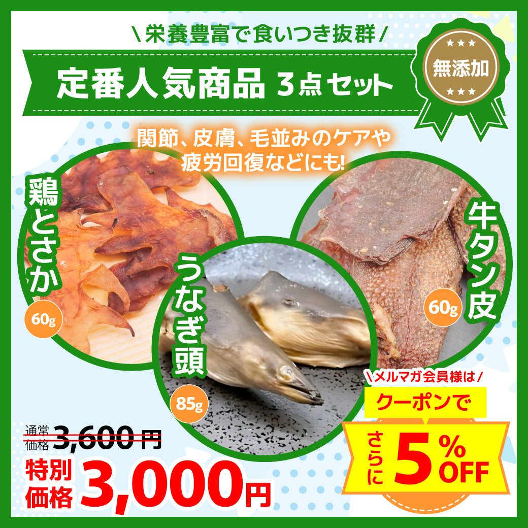 定番人気商品3点セット