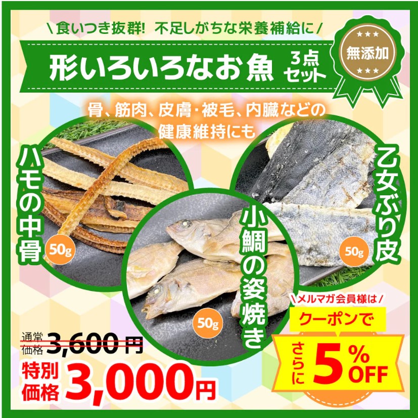 形いろいろなお魚、3点セット
