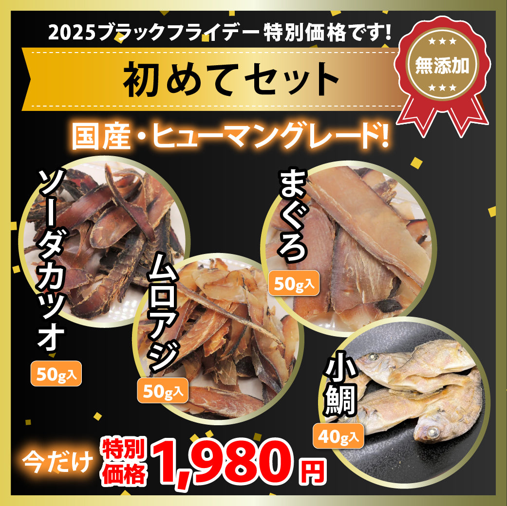 ブラックフライデー2025特別価格！「初めてセット」限定200セット！