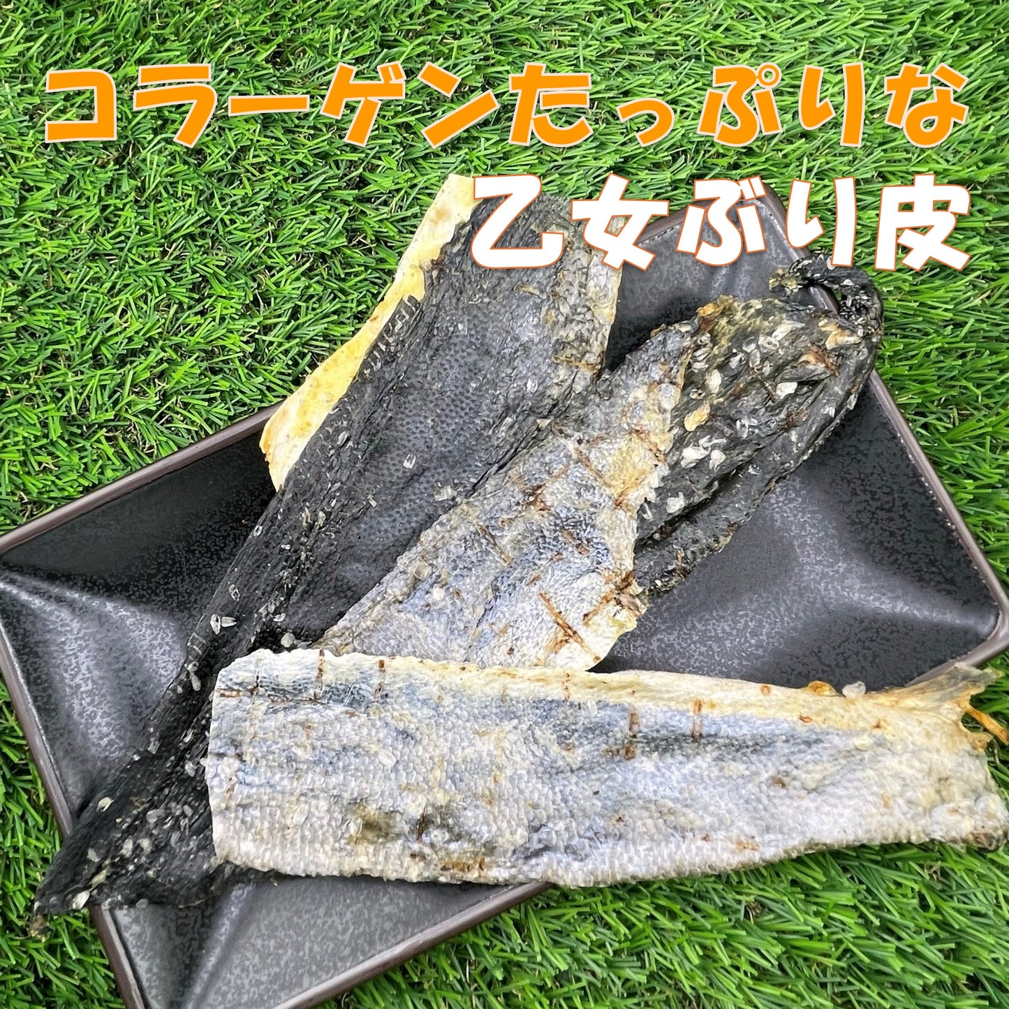 形いろいろなお魚、3点セット