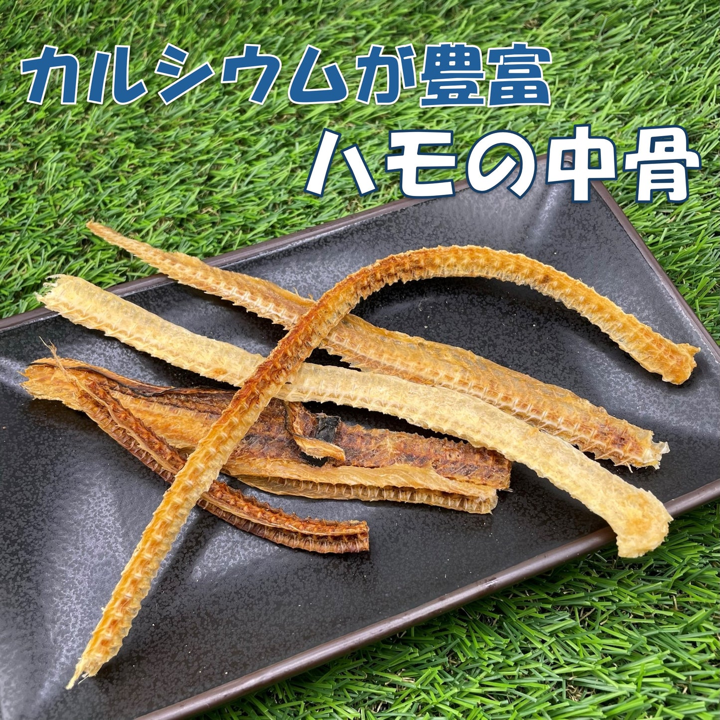 形いろいろなお魚、3点セット