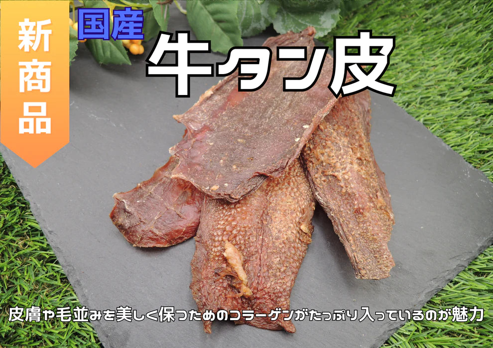 定番人気商品3点セット
