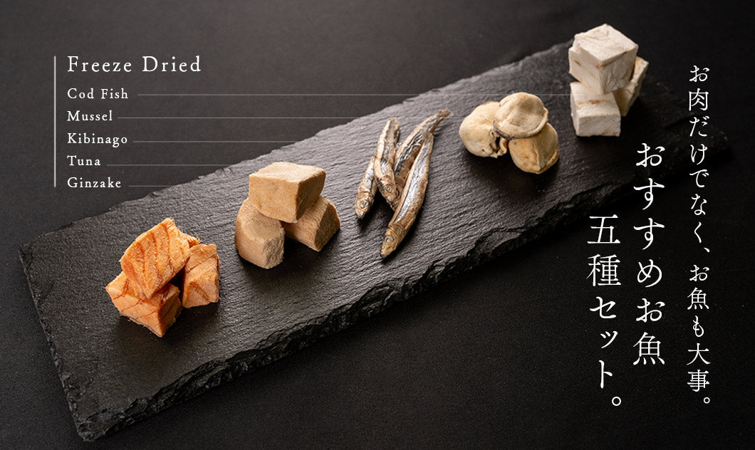 【中古】 Ｏｎｅ　Ｄｉｏｎｙｓｕｓ　ｆｏｏｄｓ ディオニソスの食卓/にじゅうに/おさないまこと These Family-Owned Restaurants In Tokyo Are More Than 100