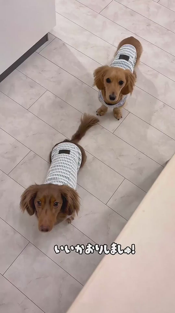 動画を読み込む: 